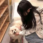 斩妖手机版下载安装国际版